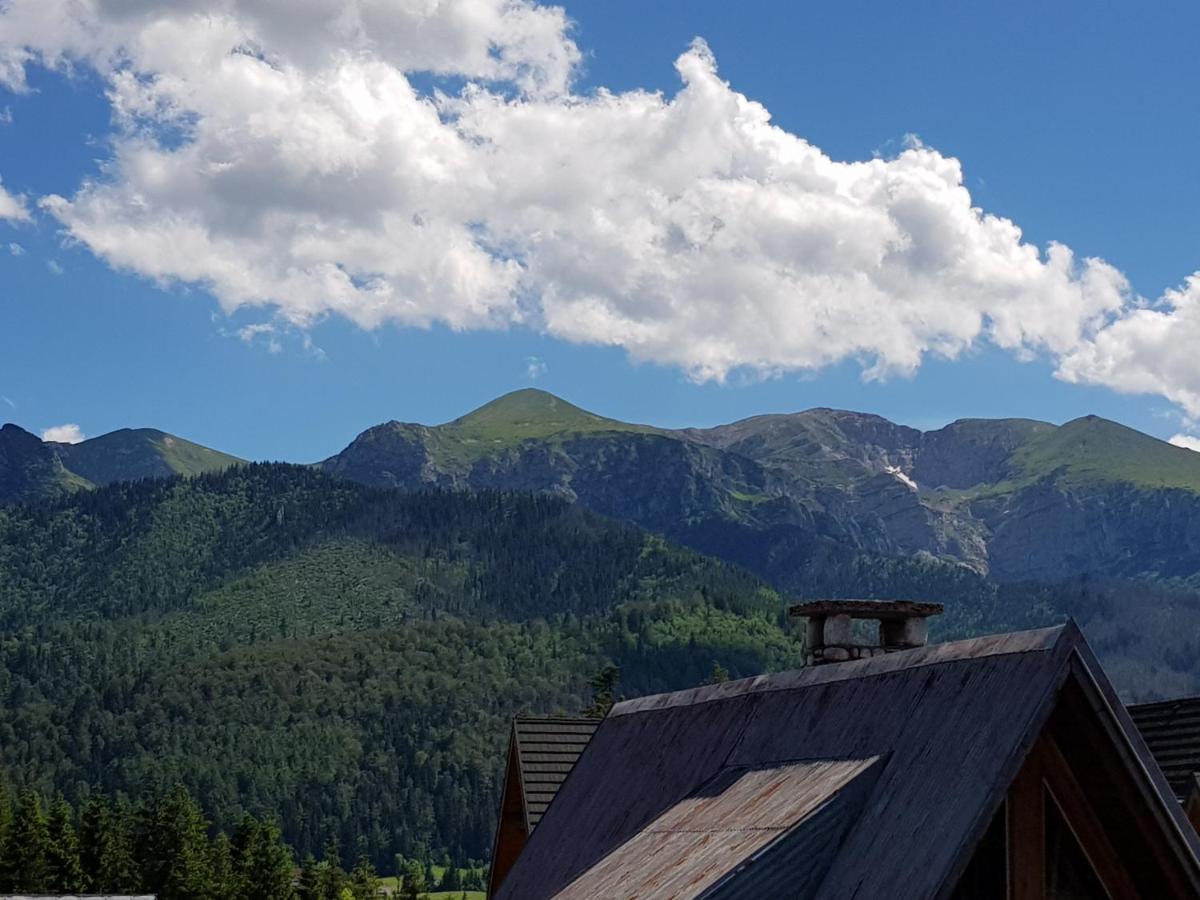 Spanie Po Zboju Kościelisko Dış mekan fotoğraf