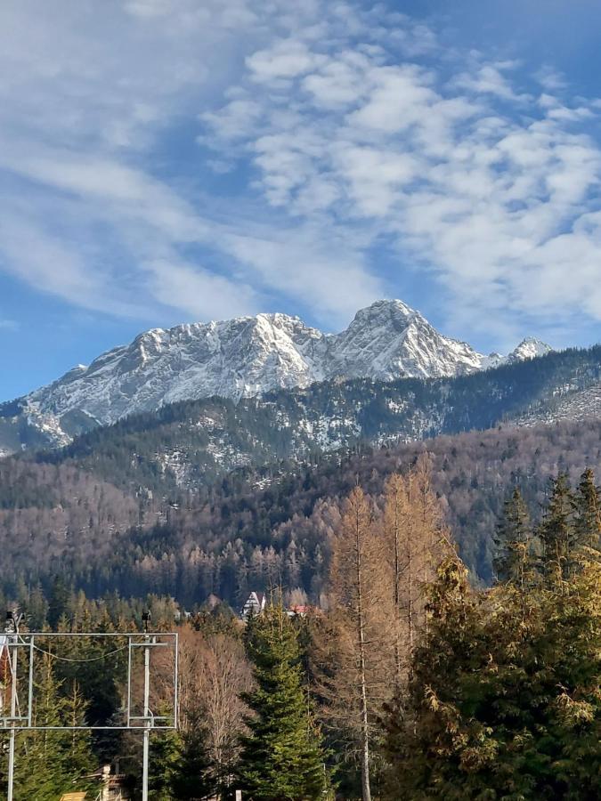 Spanie Po Zboju Kościelisko Dış mekan fotoğraf