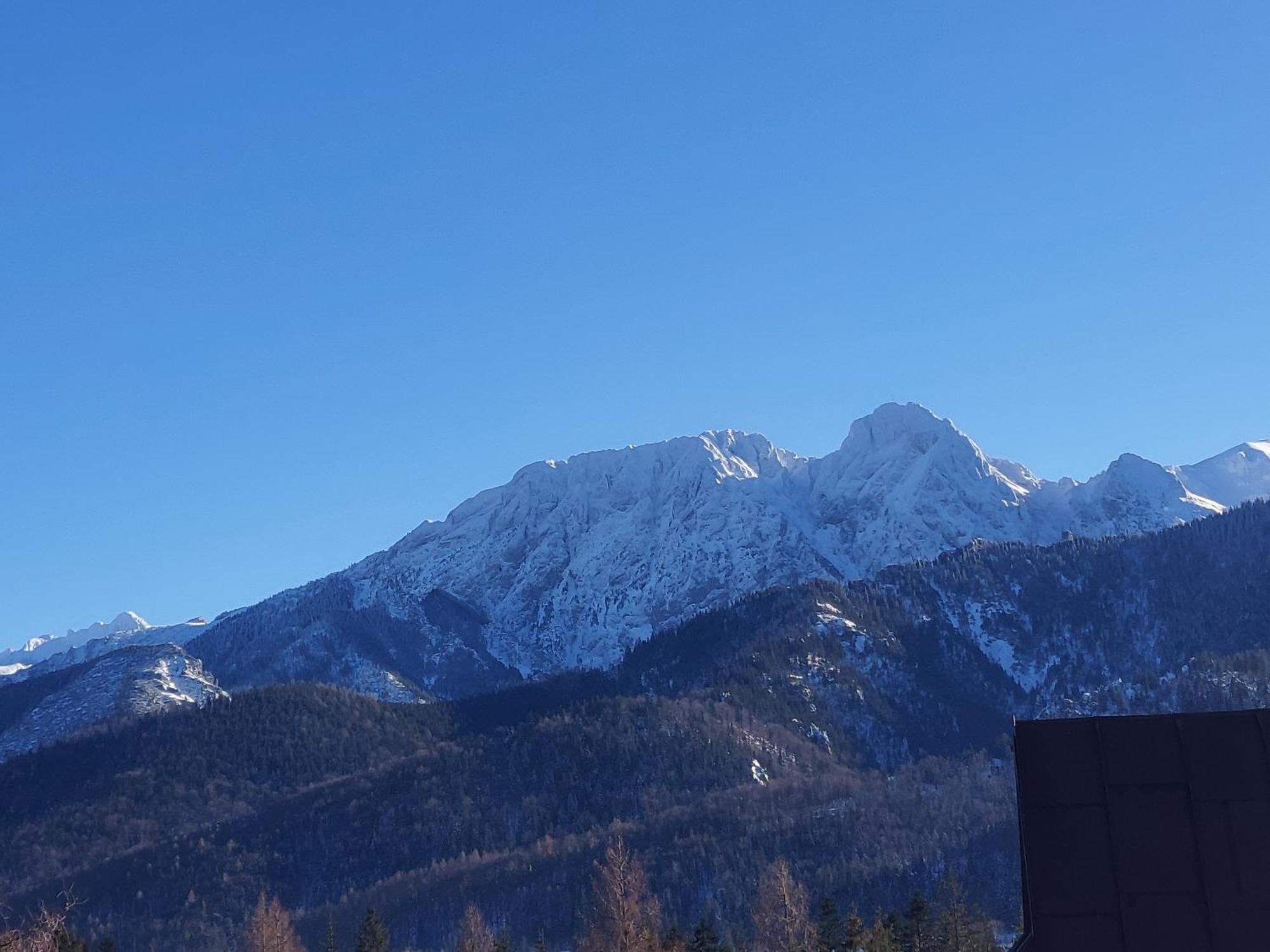 Spanie Po Zboju Kościelisko Dış mekan fotoğraf