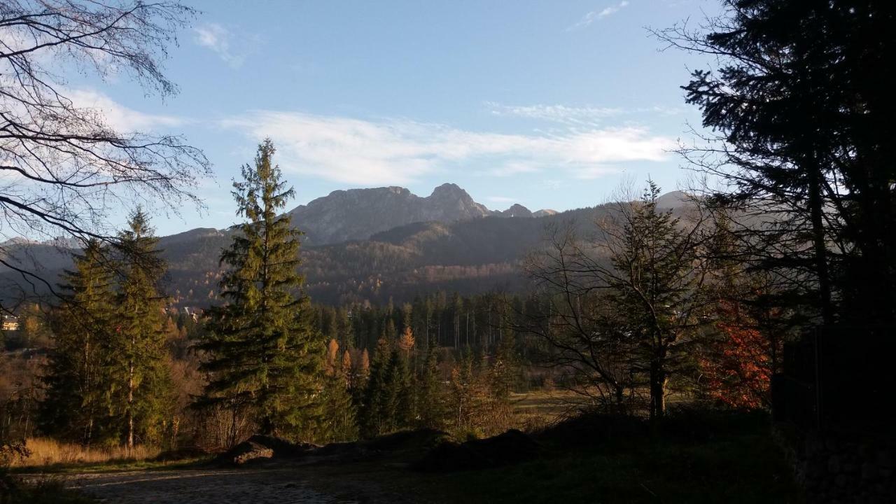 Spanie Po Zboju Kościelisko Dış mekan fotoğraf