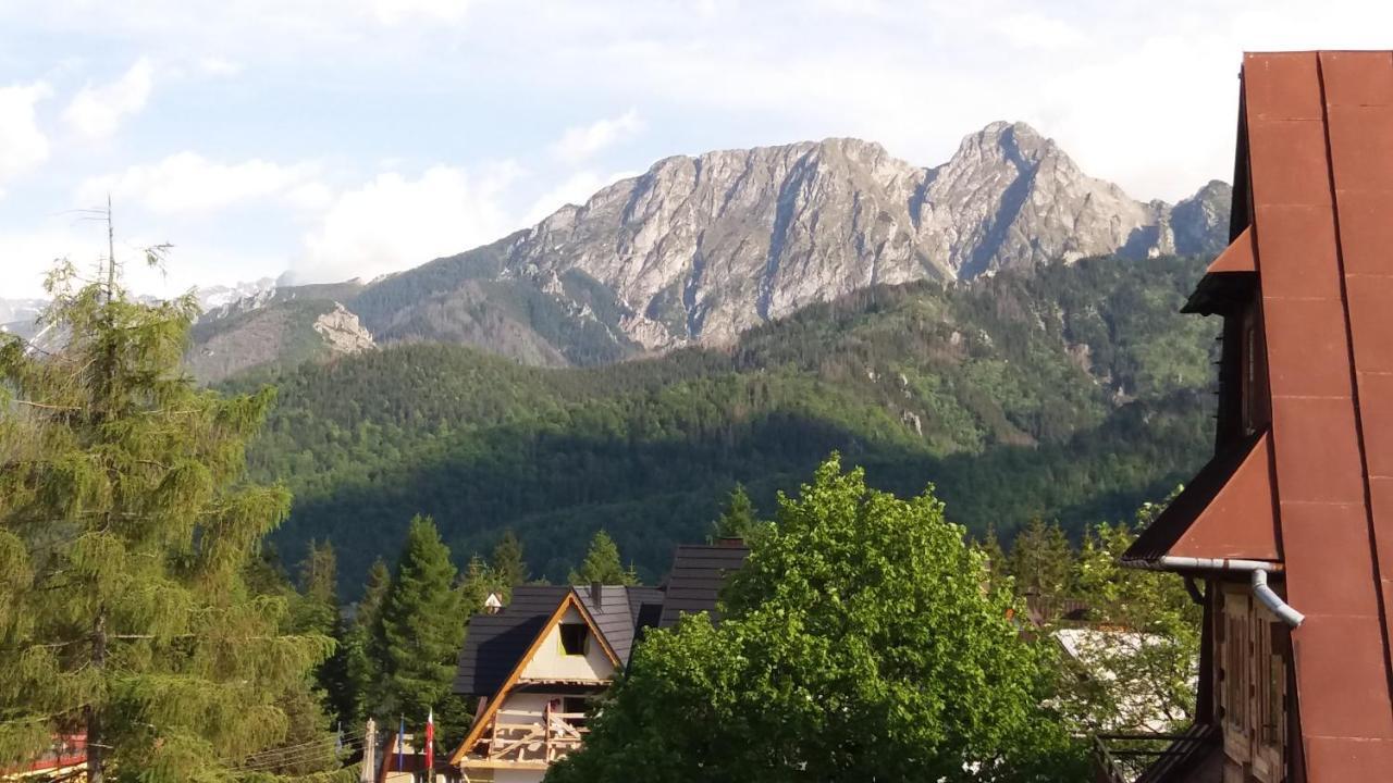 Spanie Po Zboju Kościelisko Dış mekan fotoğraf